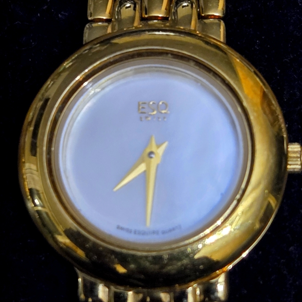 ESQ SWISS Gold Analog Watch